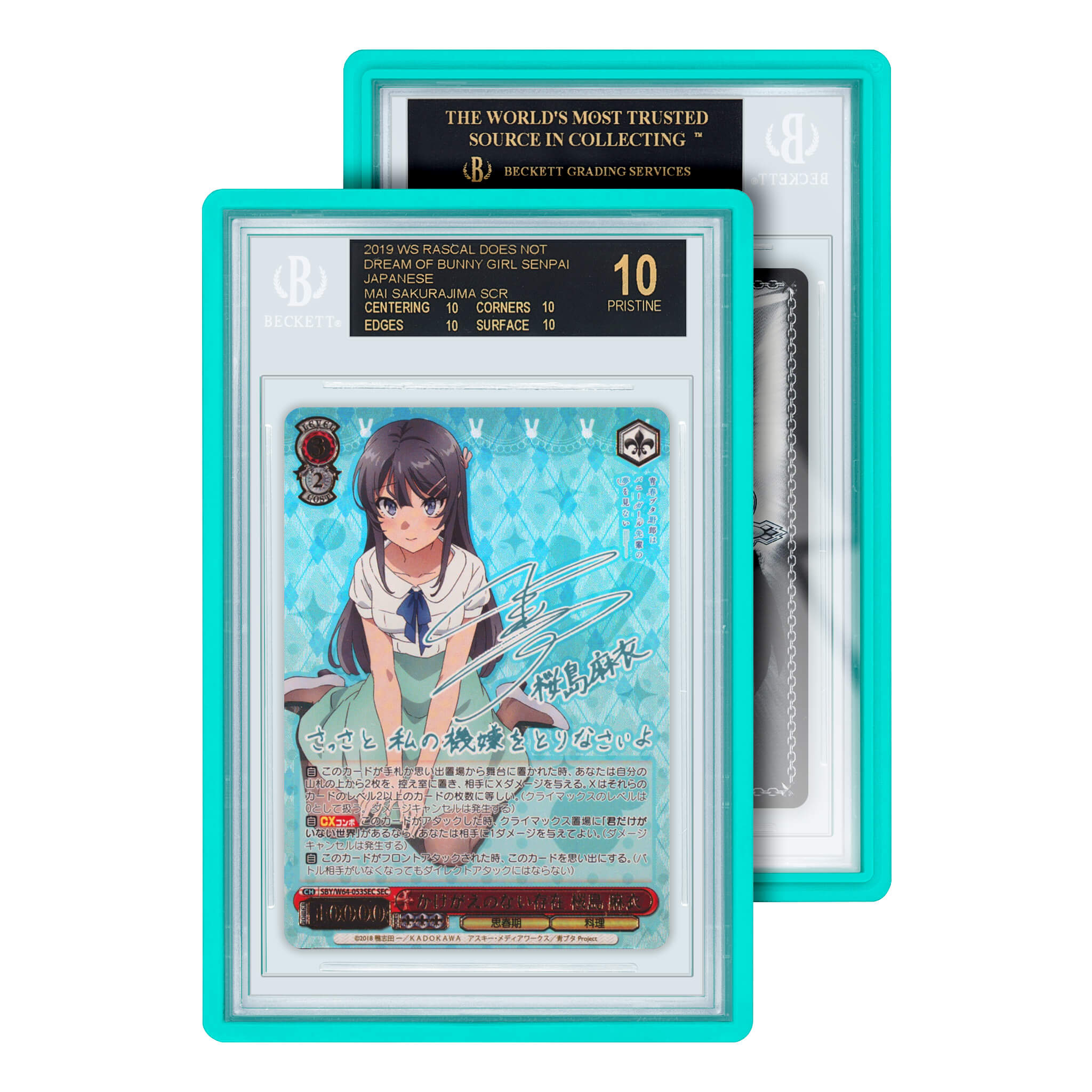 Graded Slab Guard (BGS)