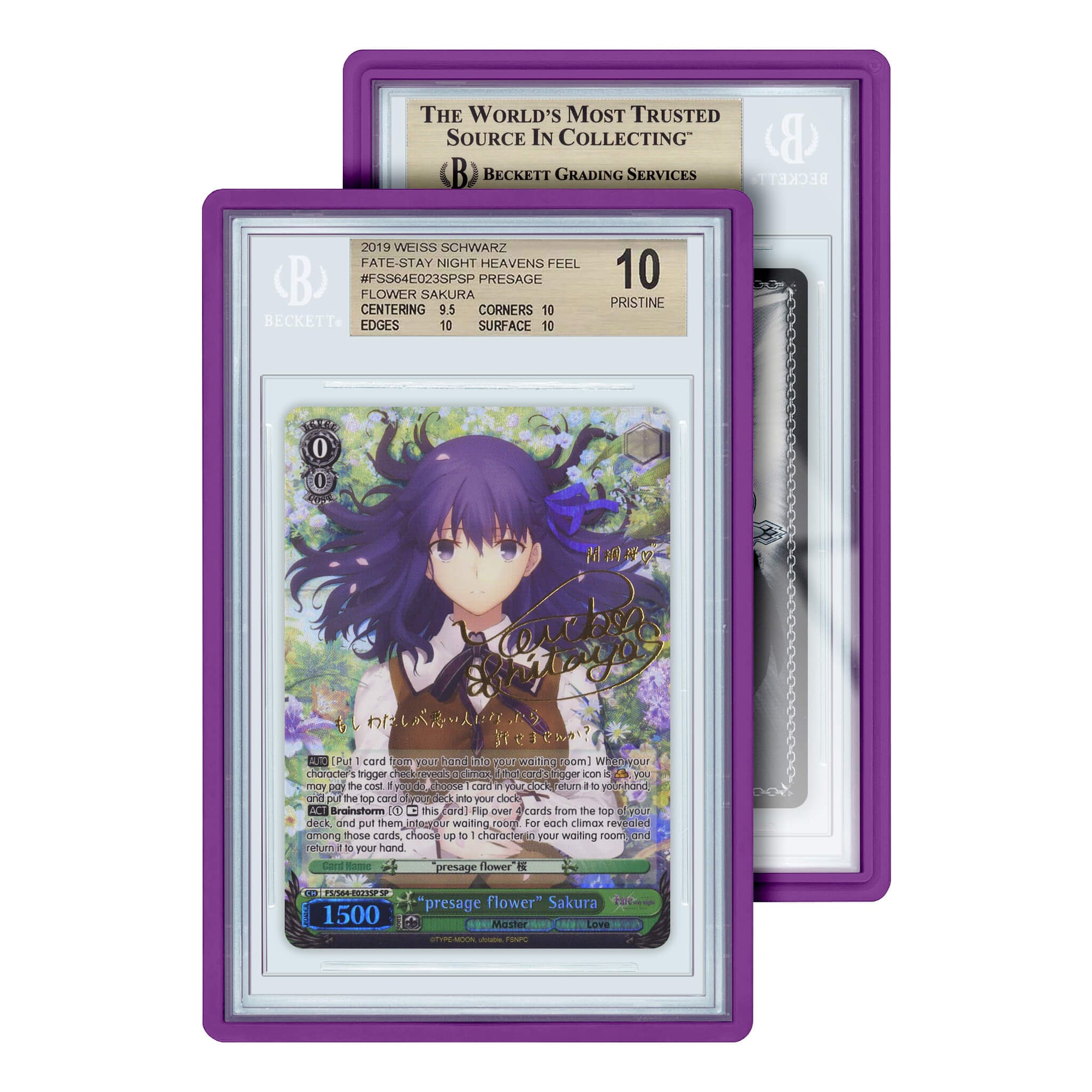 Graded Slab Guard (BGS)