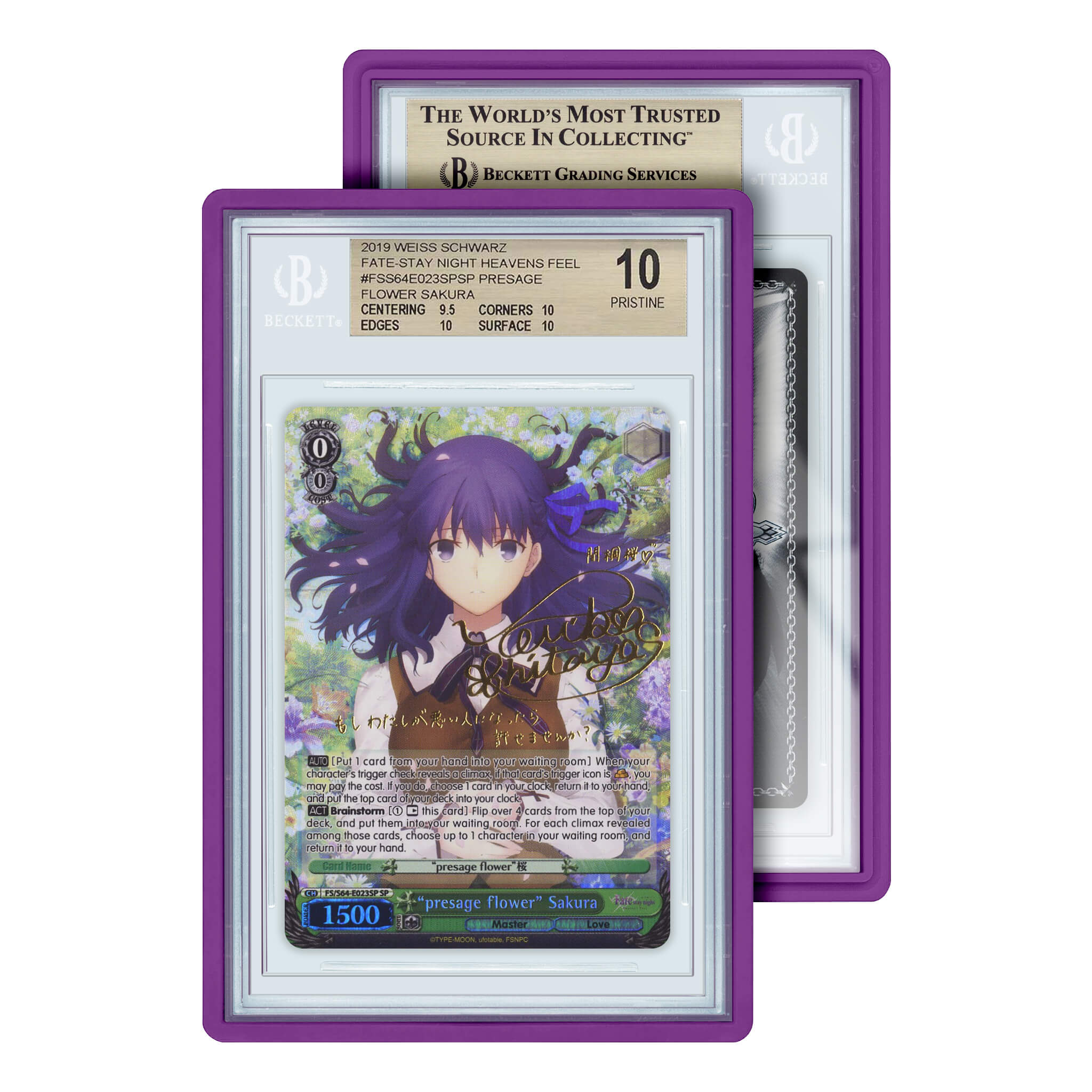 Graded Slab Guard (BGS)