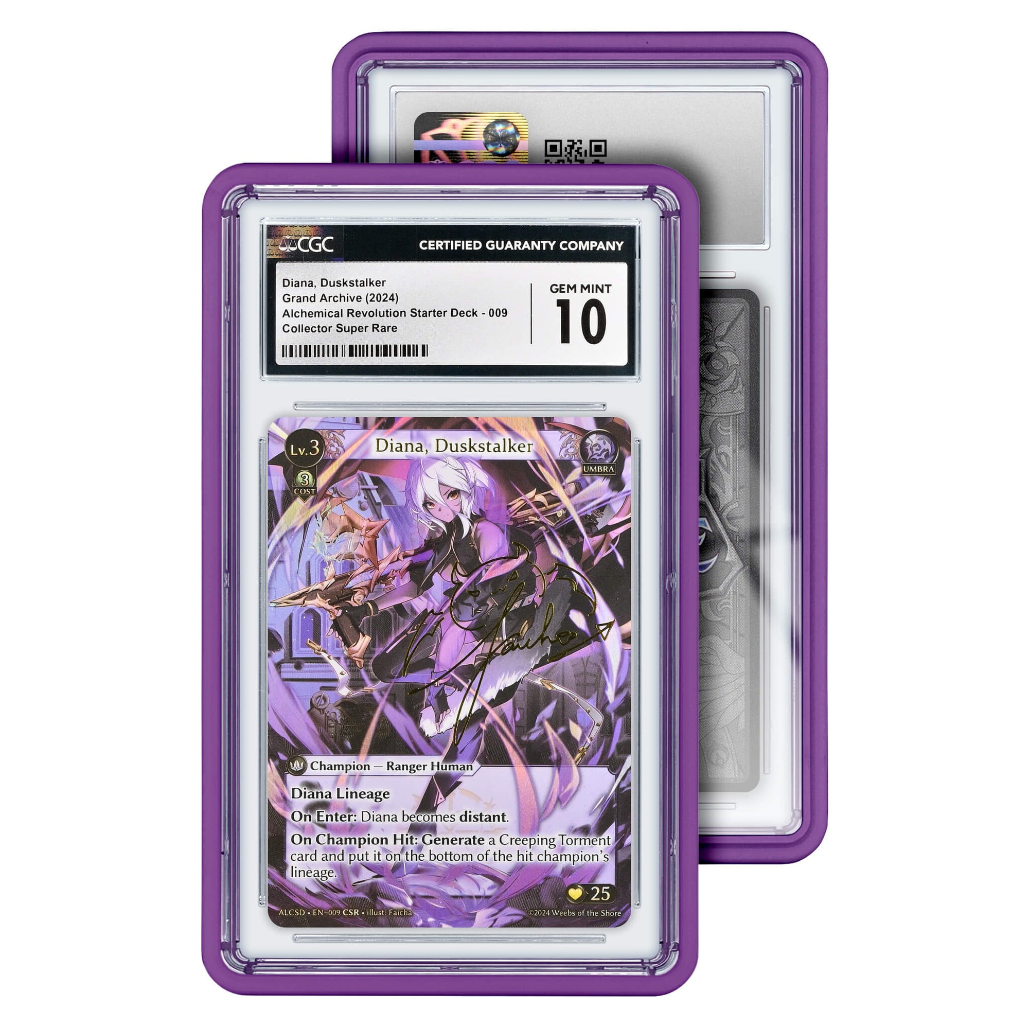 Graded Slab Guard (CGC)