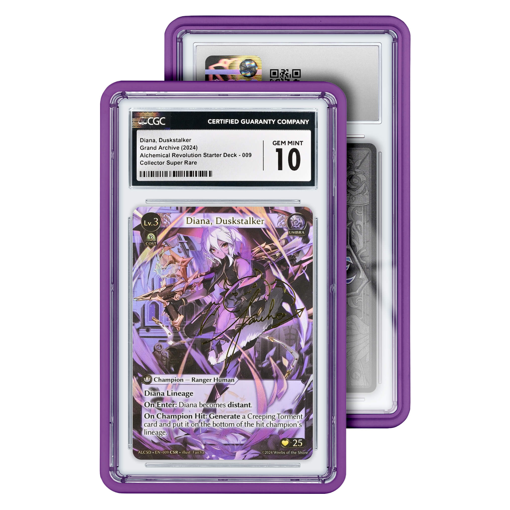 Graded Slab Guard (CGC)