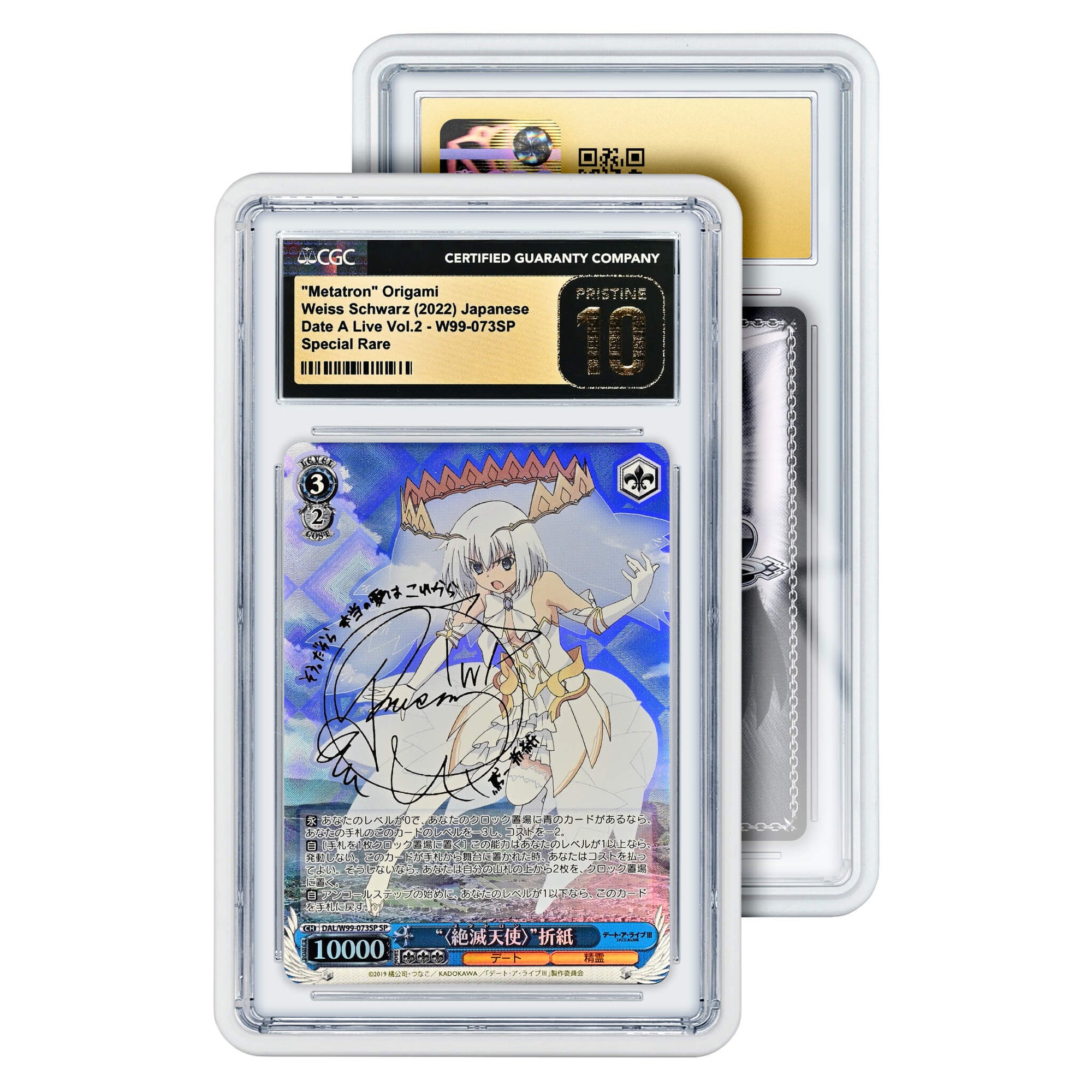 Graded Slab Guard (CGC)